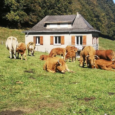 Tourmalet Villa Campan Luaran gambar