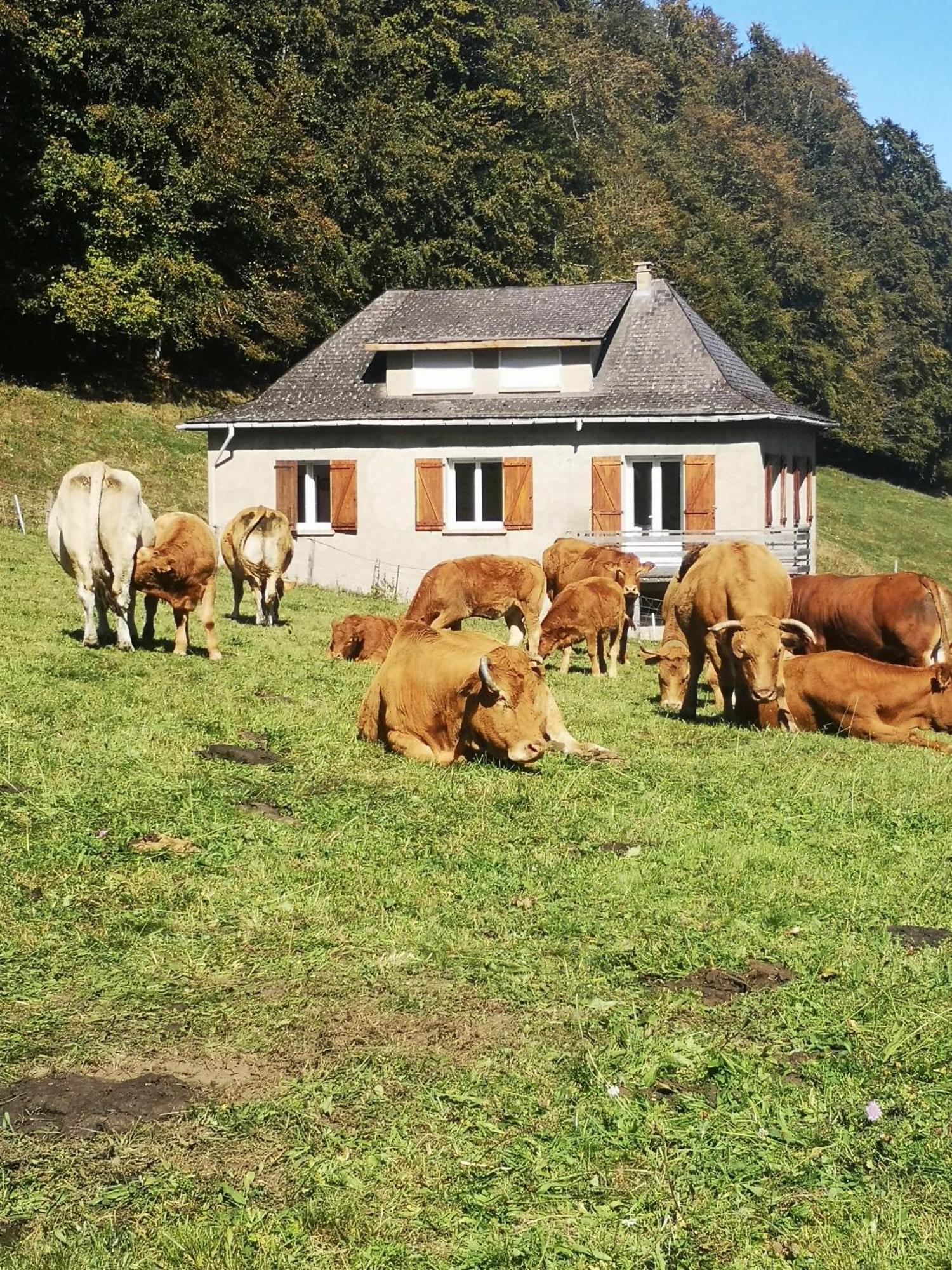 Tourmalet Villa Campan Luaran gambar